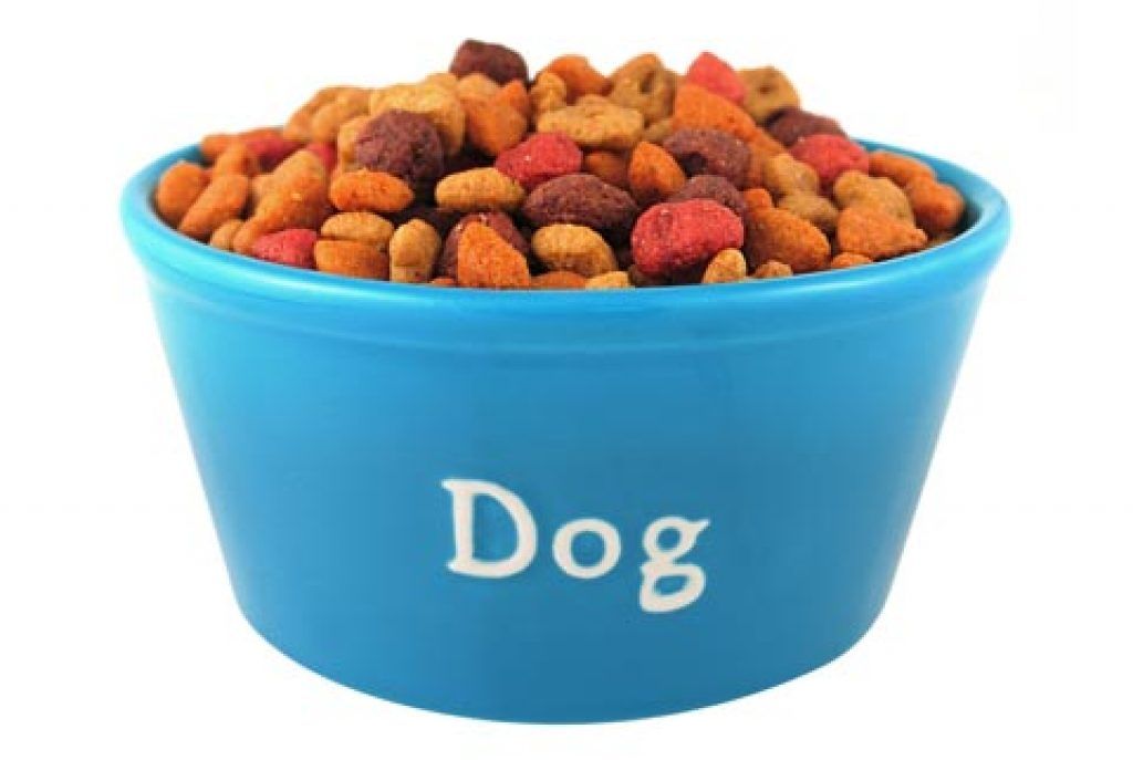 Repas pour chiens