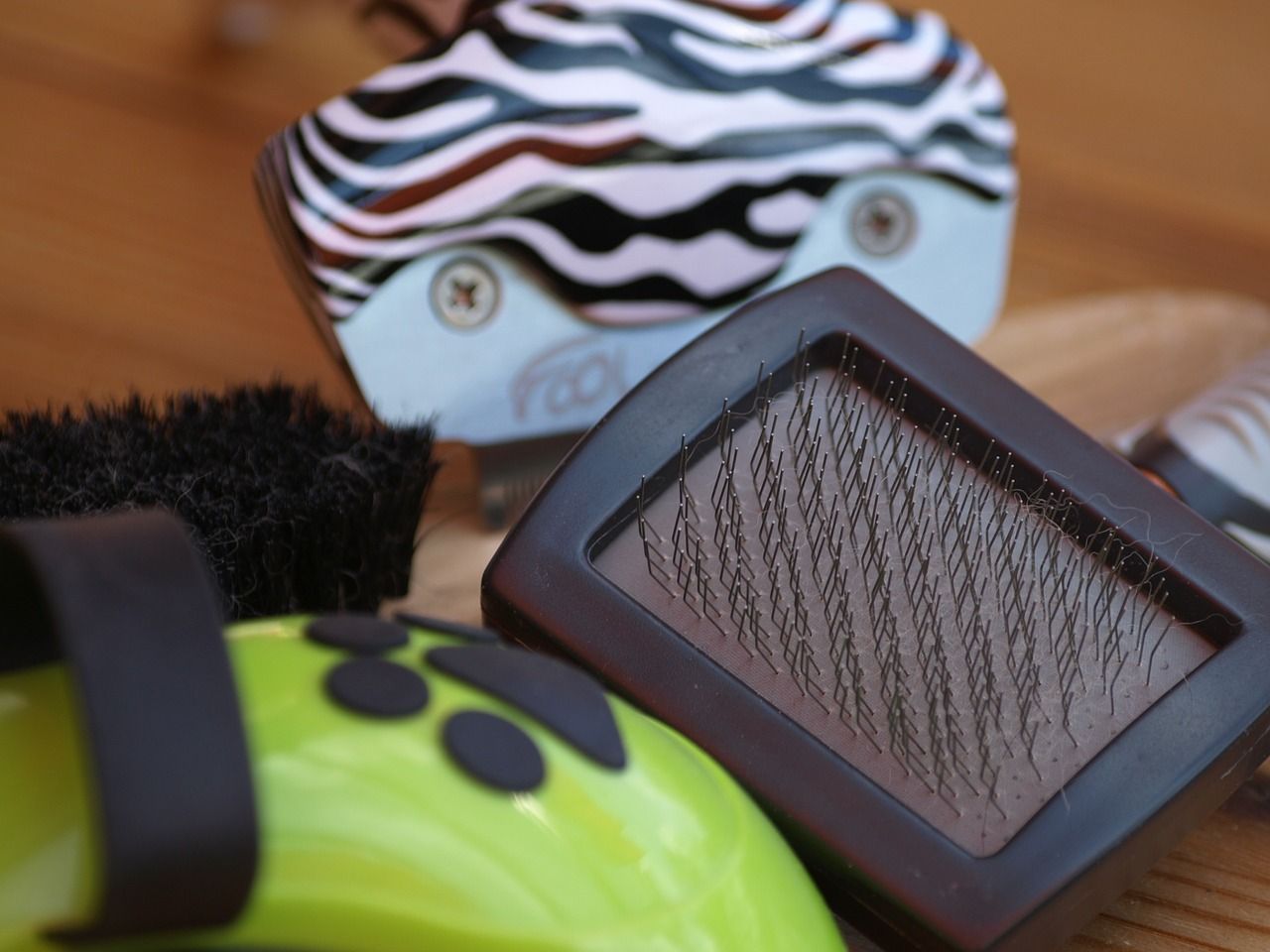 brosse pour chien