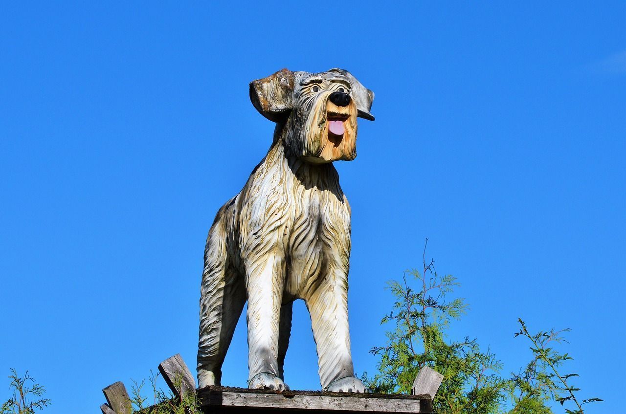 Art de Schnauzer