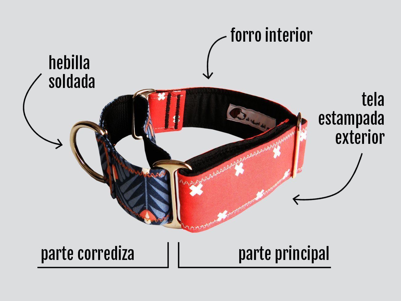 collier martingale pour chien